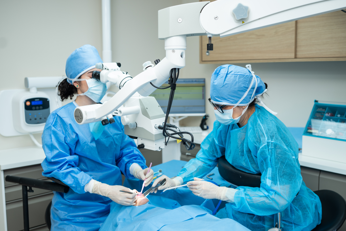 conseils post operatoires endodontiste marseille